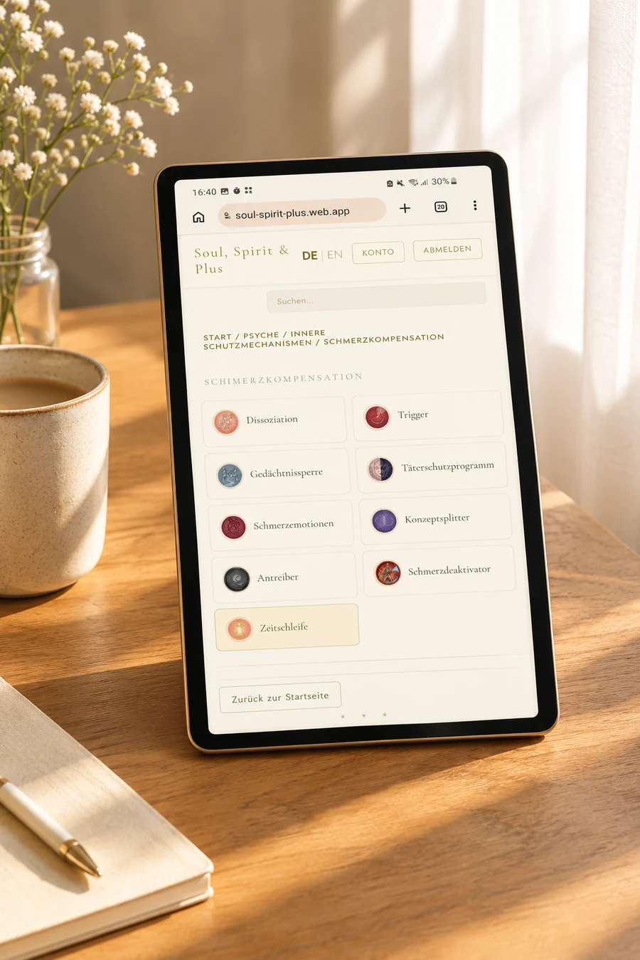 Die App auf einem Tablet: die Liste der Einträge unter Schmerzkompensation